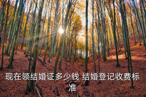 現(xiàn)在領(lǐng)結(jié)婚證多少錢 結(jié)婚登記收費(fèi)標(biāo)準(zhǔn)