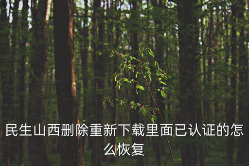 民生山西刪除重新下載里面已認證的怎么恢復