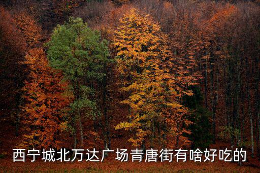 西寧城北萬達廣場青唐街有啥好吃的