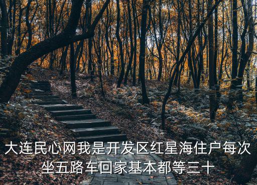 大連民心網我是開發區紅星海住戶每次坐五路車回家基本都等三十