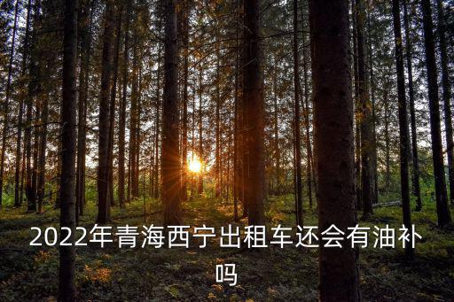 2022年青海西寧出租車還會有油補嗎