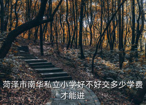 菏澤市南華私立小學好不好交多少學費才能進