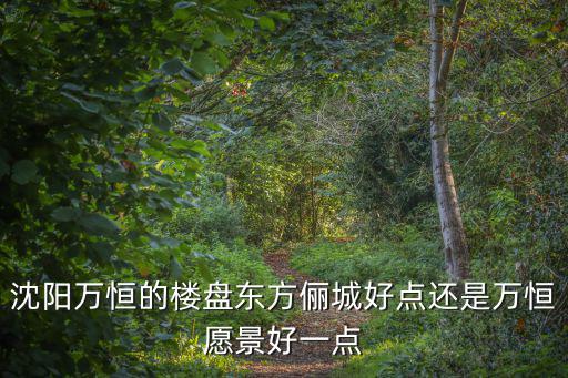 沈陽(yáng)萬恒的樓盤東方儷城好點(diǎn)還是萬恒愿景好一點(diǎn)