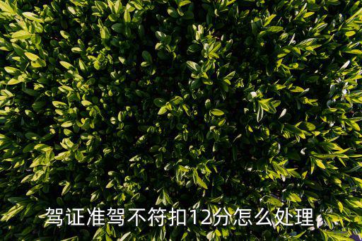 駕證準駕不符扣12分怎么處理
