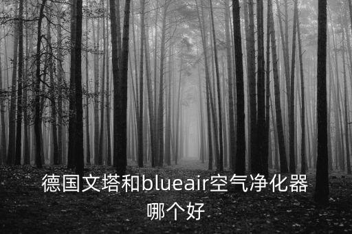德國文塔和blueair空氣凈化器哪個好