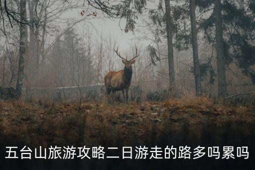五臺山旅游攻略二日游走的路多嗎累嗎