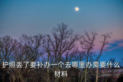 護照補辦，護照丟了要補辦一個去哪里辦需要什么材料