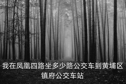 我在鳳凰四路坐多少路公交車到黃埔區(qū)鎮(zhèn)府公交車站