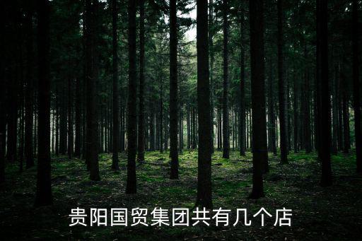 貴陽國貿集團共有幾個店