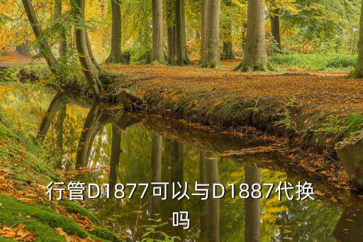 d1877，鉆戒上寫著D0046ct 40 d0091ct是啥意思