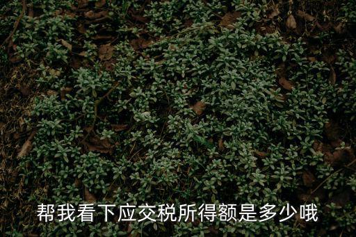 幫我看下應(yīng)交稅所得額是多少哦