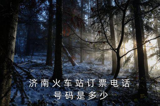 濟 南 火 車 站 訂 票 電 話 號 碼 是 多 少