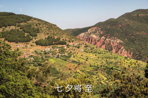七 夕將 至