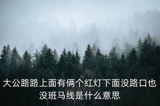 大公路路上面有倆個紅燈下面沒路口也沒班馬線是什么意思