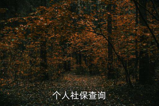 個人社保查詢