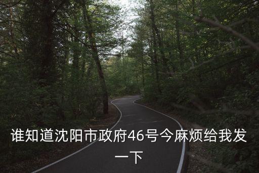 誰知道沈陽市政府46號今麻煩給我發一下