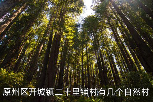 原州區(qū)開城鎮(zhèn)二十里鋪村有幾個自然村