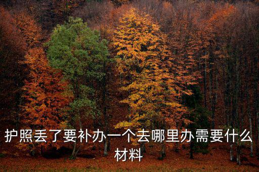 護照丟了要補辦一個去哪里辦需要什么材料