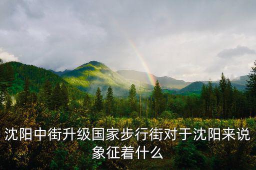 沈陽中街步行街，沈陽中街有哪些大型商場