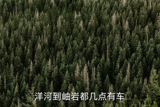 洋河到岫巖都幾點有車