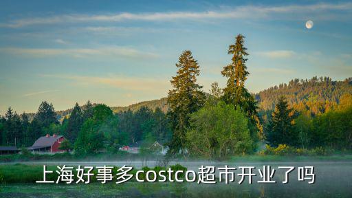上海好事多costco超市開業了嗎
