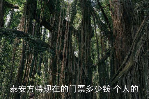 泰安方特現在的門票多少錢 個人的