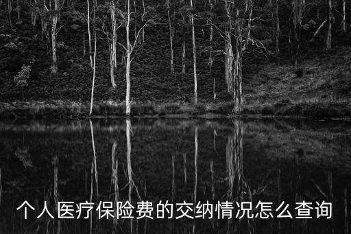個人醫療保險費的交納情況怎么查詢