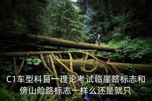 C1車型科目一理論考試臨崖路標志和傍山險路標志一樣么還是就只