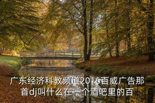 廣東經(jīng)濟(jì)科教頻道2016百威廣告那首dj叫什么在一個(gè)酒吧里的百