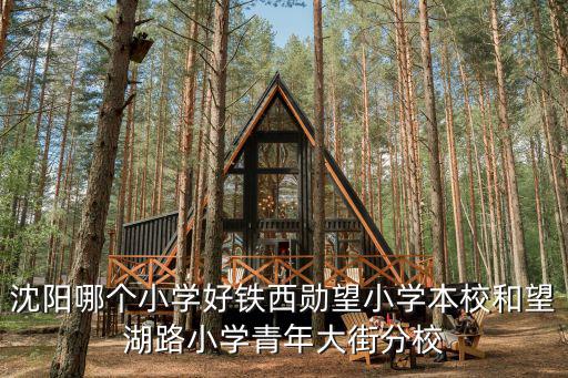 望湖路小學，沈陽哪個小學好鐵西勛望小學本校和望湖路小學青年大街分校