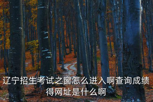 遼寧高考之窗，遼寧考試之窗怎么注冊