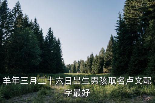羊年三月二十六日出生男孩取名盧文配字最好