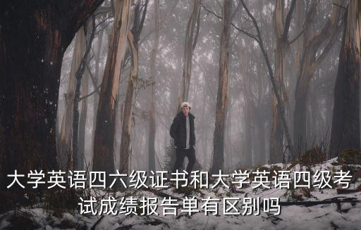 大學英語四六級證書和大學英語四級考試成績報告單有區別嗎