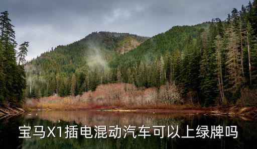 寶馬X1插電混動汽車可以上綠牌嗎