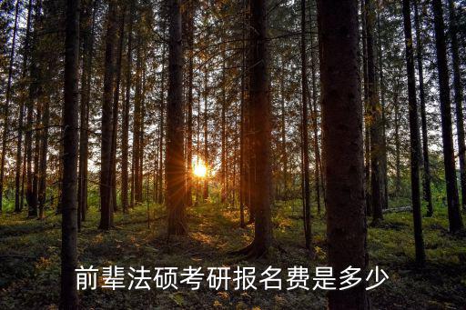 前輩法碩考研報名費是多少
