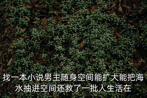 隨身帶著海洋空間，求書名 現耽空間文 小受和爺爺一起住得帶一個可以改善海洋環境的