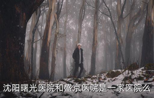 沈陽曙光醫院和盛京醫院是一家醫院么
