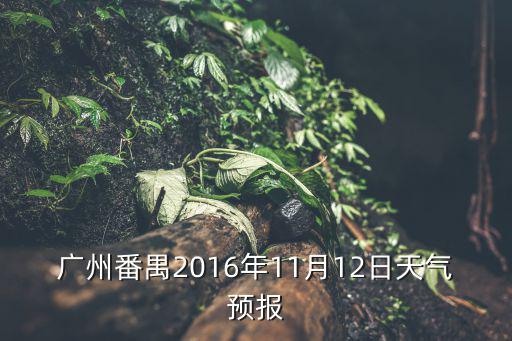 廣州番禺2016年11月12日天氣預報