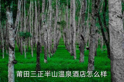 莆田三正半山溫泉酒店怎么樣