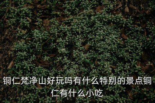 銅仁梵凈山好玩嗎有什么特別的景點銅仁有什么小吃