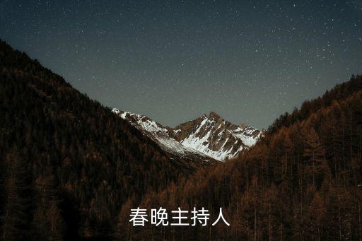 春晚主持人