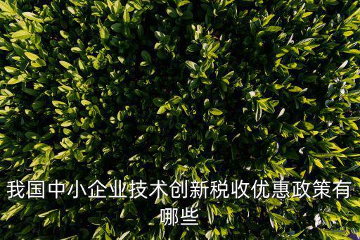 我國中小企業技術創新稅收優惠政策有哪些