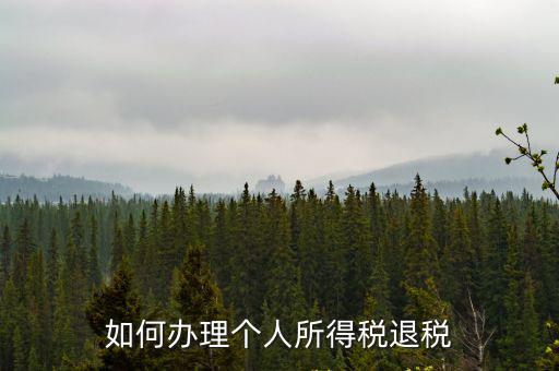 如何辦理個人所得稅退稅