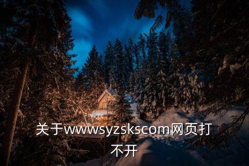 沈陽招生考試，關于wwwsyzskscom網頁打不開