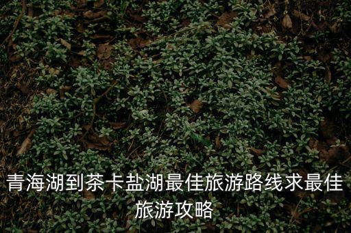 茶卡鹽湖旅游攻略，青海湖到茶卡鹽湖最佳旅游路線求最佳旅游攻略