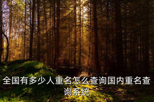 全國有多少人重名怎么查詢國內重名查詢系統