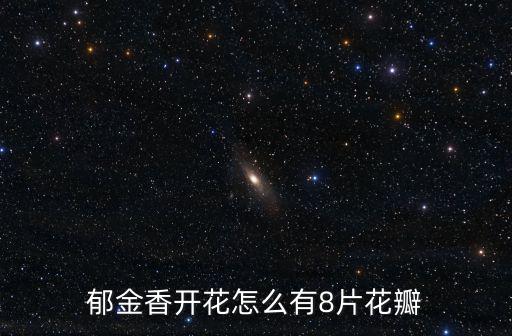 郁金香開花怎么有8片花瓣