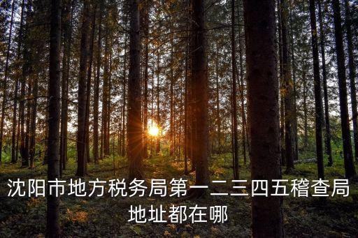 沈陽市地方稅務局第一二三四五稽查局地址都在哪