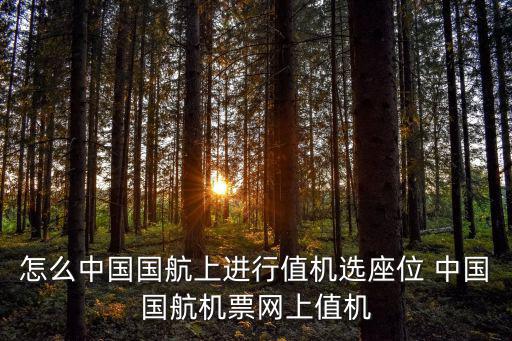 怎么中國國航上進行值機選座位 中國國航機票網上值機