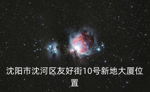 沈陽新地中心，沈陽市沈河區友好街10號新地大廈位置